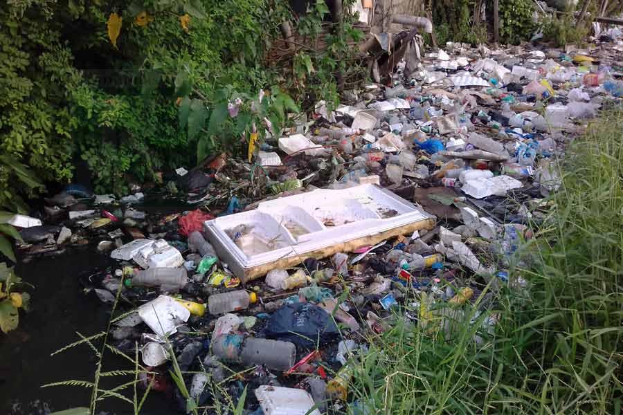 Kali Tambak Lumpang Surabaya Tercemar